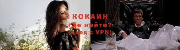 гидропоника Гусь-Хрустальный