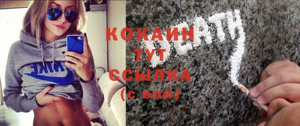 гидропоника Гусь-Хрустальный