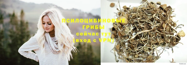 a pvp Гусиноозёрск